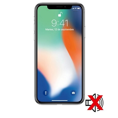 Cambiar Altavoz  Iphone Xs